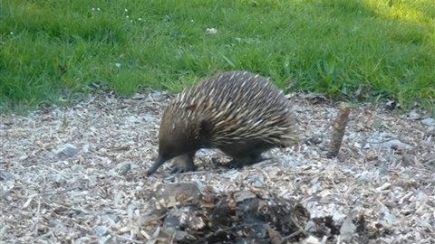Sabrelyn Park - St Kilda Accommodation 5