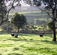 Bellevue Farmstay - St Kilda Accommodation