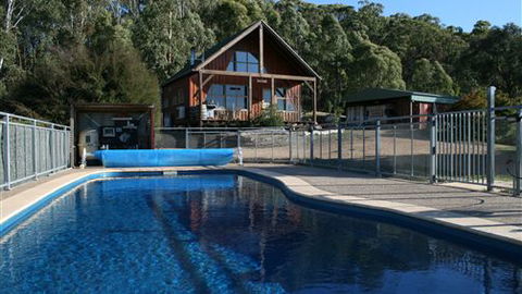 Karoonda Olive Grove Retreat At Mt Buffalo Olives - St Kilda Accommodation 0