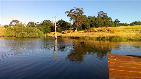 Cygnet Park Country Retreat - St Kilda Accommodation 4
