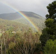 Wattletree Cottage - St Kilda Accommodation