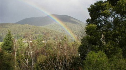 Wattletree Cottage - St Kilda Accommodation 0