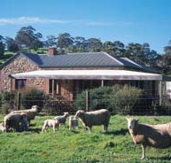 Amanda Stichbury Cottage - St Kilda Accommodation