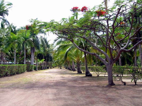 Alva Beach Tourist Park - St Kilda Accommodation 0