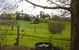 Amble Fern Studio - thumb 1