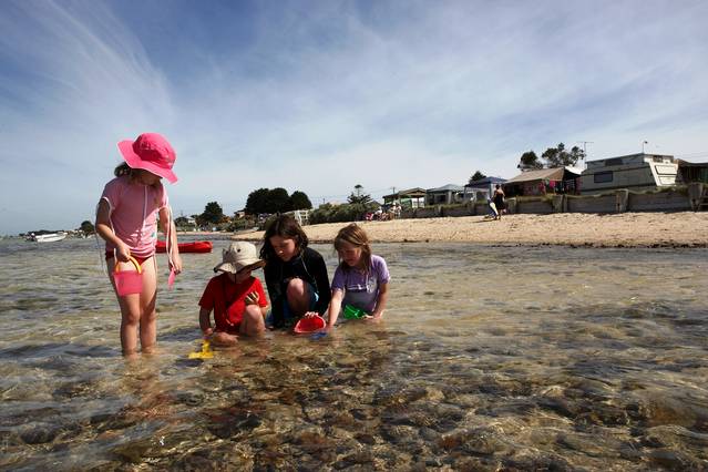 Indented Head VIC St Kilda Accommodation