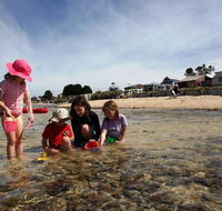 Bellarine Bayside Holiday Parks - Anderson Reserve - St Kilda Accommodation