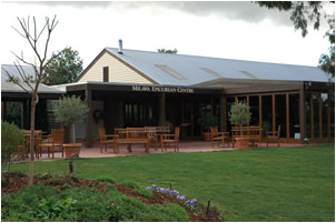 Buffalo Motel And Country Retreat - St Kilda Accommodation 1