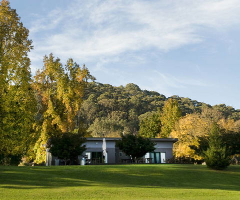 Buffalo Motel And Country Retreat - St Kilda Accommodation 6