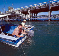 Comfort Inn Mandurah - St Kilda Accommodation