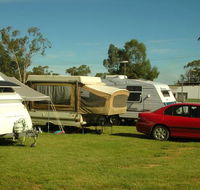 Crocodile Caravan   Camping Park - St Kilda Accommodation