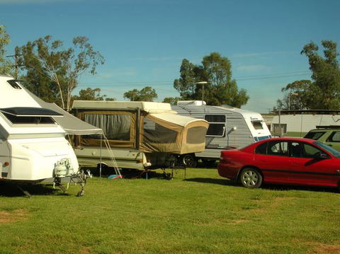 Crocodile Caravan  & Camping Park - St Kilda Accommodation 0
