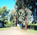 Cudal Caravan Park - St Kilda Accommodation