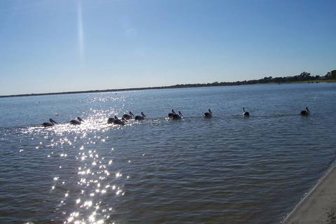 Discovery Holiday Parks - Lake Bonney - St Kilda Accommodation 1