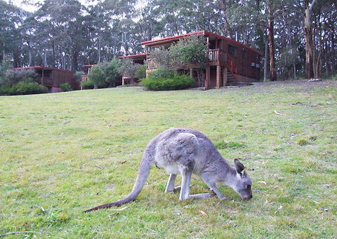 Jenolan Caves Cottages - St Kilda Accommodation 0