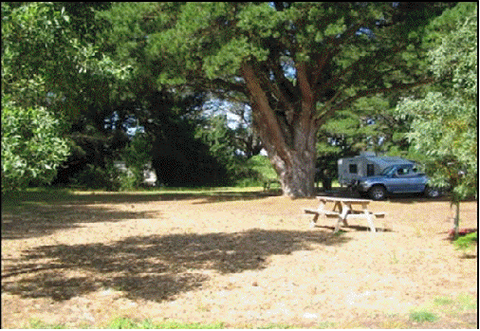 Millicent Hillview Caravan Park - St Kilda Accommodation 4