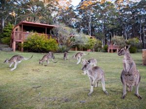 Jenolan Caves Cottages - St Kilda Accommodation 1