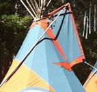 Central Coast Eco Tours - St Kilda Accommodation