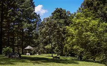 Dingo Tops Campground - St Kilda Accommodation 2