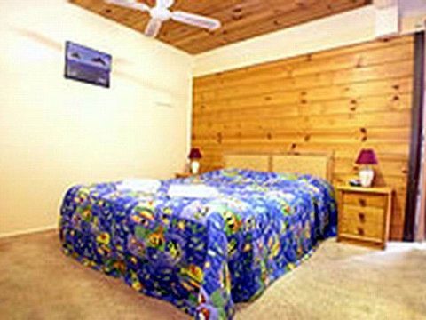 Shelly Beach Cabins - St Kilda Accommodation 1
