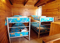Shelly Beach Cabins - St Kilda Accommodation 7