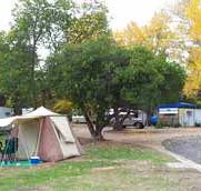 Wedderburn Pioneer Caravan Park - St Kilda Accommodation