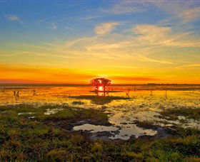 Wildman Wilderness Lodge - St Kilda Accommodation 2