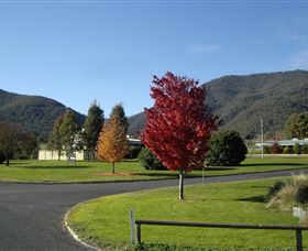 Talbingo Country Club - St Kilda Accommodation 0