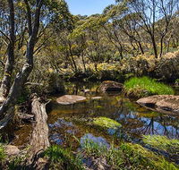 Junction Pools campground - St Kilda Accommodation