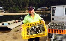 Patonga Camping Area - St Kilda Accommodation 2