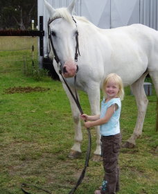 Three Waters High Country Holidays - St Kilda Accommodation 0