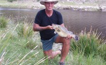 Three Waters High Country Holidays - St Kilda Accommodation 1