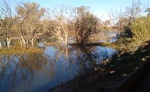 Warrawong On The Darling - St Kilda Accommodation 0