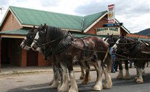 Araluen Valley Hotel - Araluen - St Kilda Accommodation 0