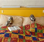 Budget Winchester Motel - Moree - St Kilda Accommodation