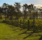 H Boutique Hotel - Pokolbin - St Kilda Accommodation