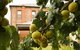 Imperial Fine Accommodation - Broken Hill - thumb 7