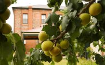 Imperial Fine Accommodation - Broken Hill - St Kilda Accommodation 7