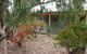 Lightning Ridge Outback Resort And Caravan Park - Lightning Ridge - thumb 3