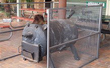 Lightning Ridge Outback Resort And Caravan Park - Lightning Ridge - St Kilda Accommodation 7