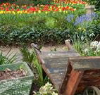 The Carrington Inn - St Kilda Accommodation