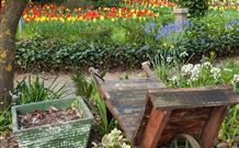 The Carrington Inn - St Kilda Accommodation 0