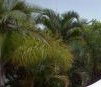 Ballina Beach Resort - St Kilda Accommodation 4
