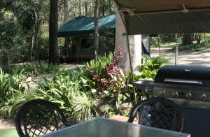 Tamborine Mountain Caravan & Camping - St Kilda Accommodation 2