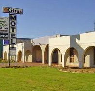 Citrus Motel - St Kilda Accommodation
