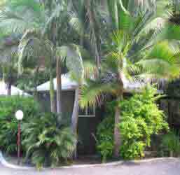 Nambour Rainforest Holiday Village - St Kilda Accommodation 1