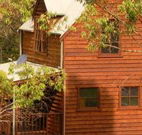Barrington Tops Organic Retreat - St Kilda Accommodation