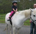 Mansfield Cottage Barrington Tops Accommodation - St Kilda Accommodation