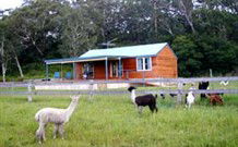 Moorallie Cottage Farm Stay - St Kilda Accommodation 0