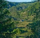 Yarralong BnB and Farm Stay - St Kilda Accommodation
